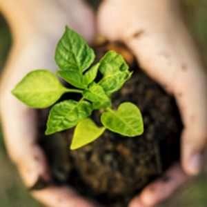 Sustainability